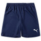 Шорти Puma teamRISE Short