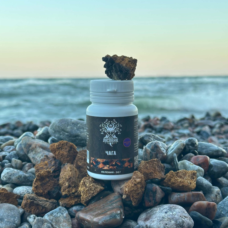 Чага березова, екстракт 10:1, мелений, "Лісовик", 50 грам