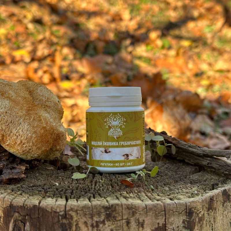 Міцелій їжовика гребінчастого, "Лісовик", 60 таблеток по 0,4 г