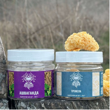 Курс Крепкий сон: Ашваганда и Тремелла (1 месяц), "Лесовик", 120 капсул