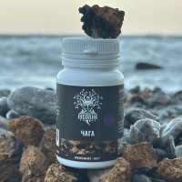 Чага березова, екстракт 10:1, мелений, "Лісовик", 50 грам