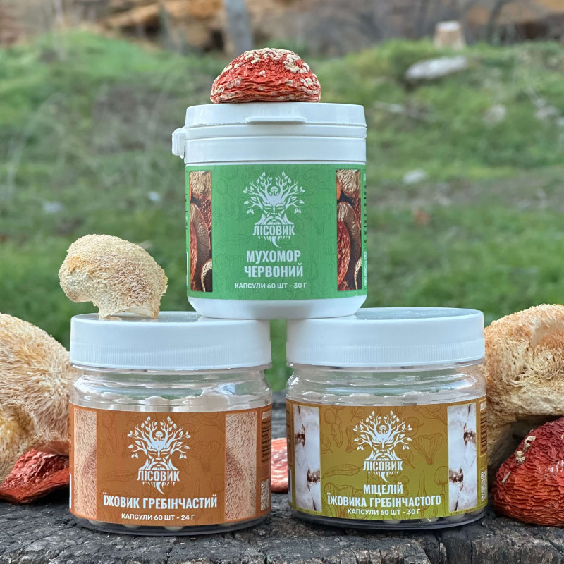 Курс MindBoost: Микродозинг для Ума (1 месяц), "Лесовик", 180 капсул