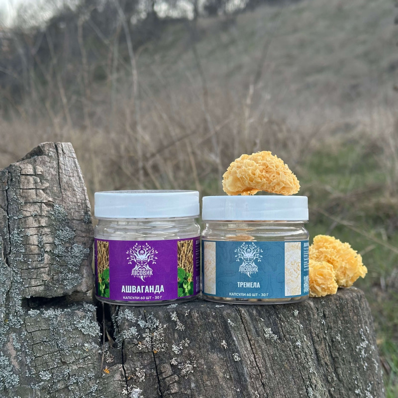 Курс Крепкий сон: Ашваганда и Тремелла (1 месяц), "Лесовик", 120 капсул