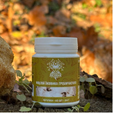 Міцелій їжовика гребінчастого, "Лісовик", 60 таблеток по 0,4 г