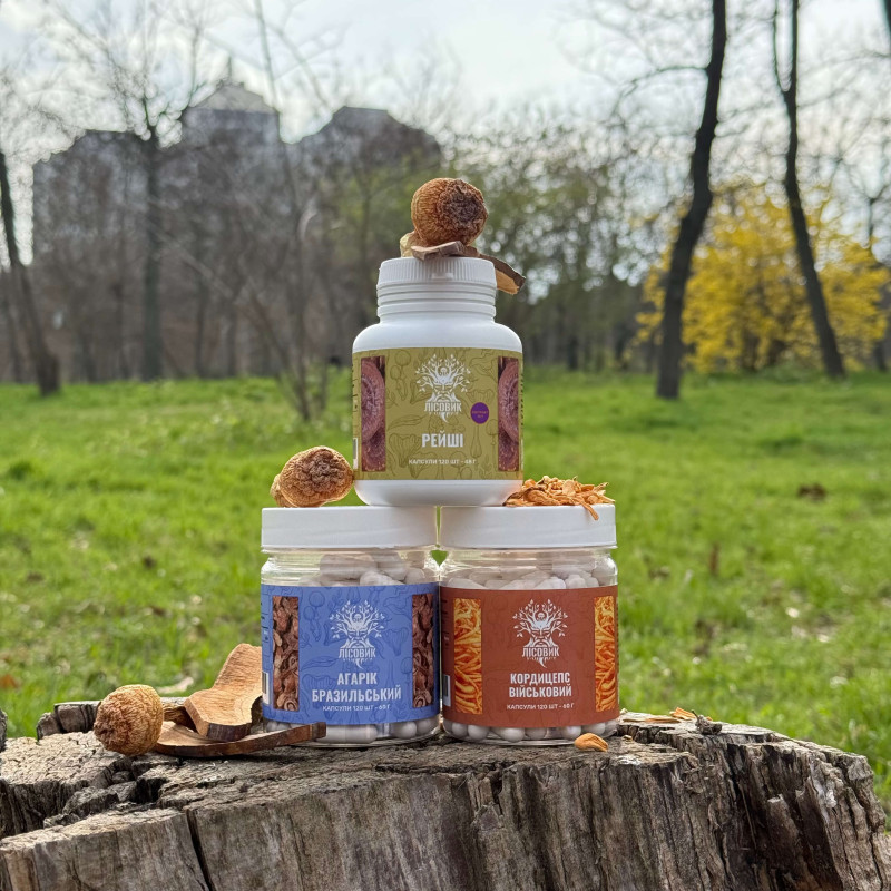 Курс Heart Power: Для сердечно-сосудистой системы (2 месяца), "Лесовик", 360 капсул