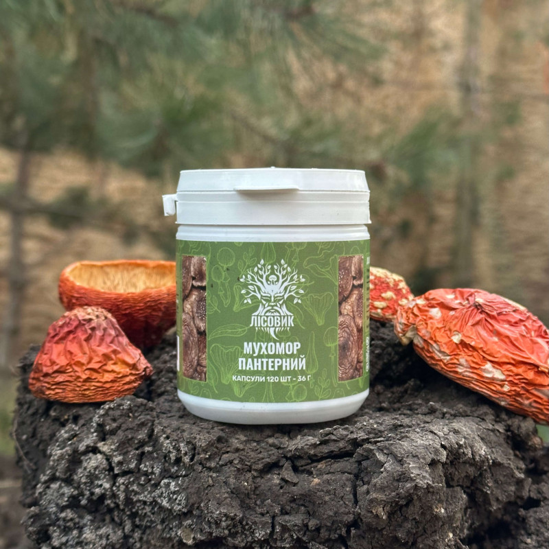 Мухомор пантерный, "Лесовик", 120 капсул по 0,3 г