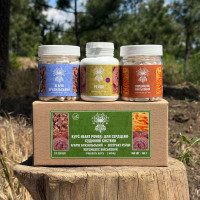 Курс Heart Power: Для сердцево-судинної системи (2 місяці), "Лісовик", 360 капсул