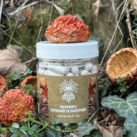 Мікс мухомора червоного та пантерного, "Лісовик", 120 капсул по 0,5 г