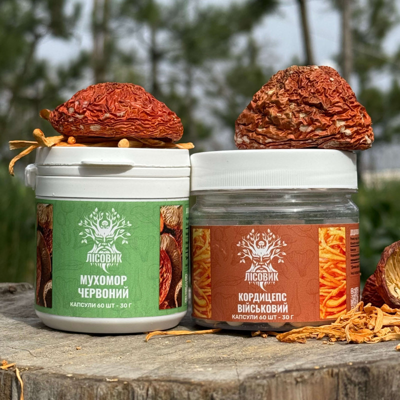 Курс Активный день: Кордицепс и Мухомор красный (1 месяц), "Лесовик", 120 капсул
