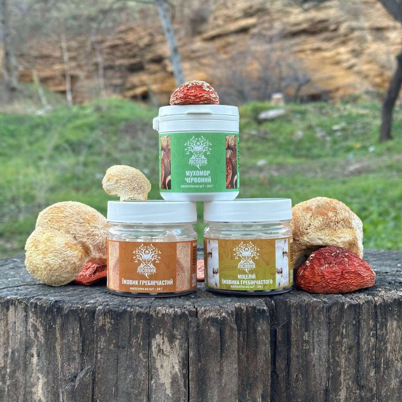 Курс MindBoost: Микродозинг для Ума (1 месяц), "Лесовик", 180 капсул