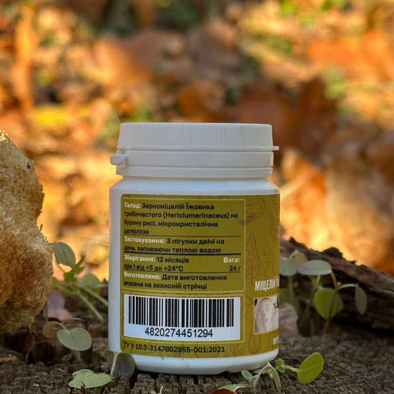 Міцелій їжовика гребінчастого, "Лісовик", 60 таблеток по 0,4 г