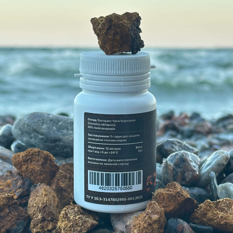 Чага березова, екстракт 10:1, мелений, "Лісовик", 50 грам