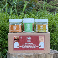 Курс MindBoost: Мікродозинг для Розуму (1 місяць), "Лісовик", 180 капсул