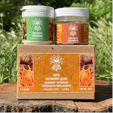 Курс Активный день: Кордицепс и Мухомор красный (1 месяц), "Лесовик", 120 капсул