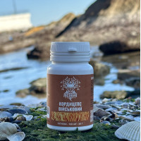Кордицепс військовий, "Лісовик", 120 таблеток по 0,4 г