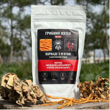 Грибний Ice Tea - каркаде з м'ятою, "Лісовик", 80 грам