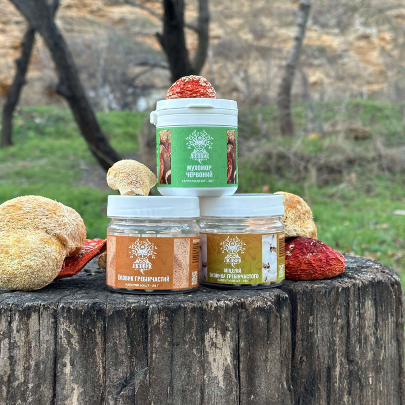 Курс MindBoost: Микродозинг для Ума (1 месяц), "Лесовик", 180 капсул