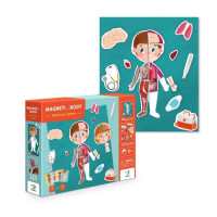 Обучающая игра "Магнитное тело"