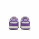 Кросівки жіночі Nike Dunk Low Next Nature (DD1873-108)