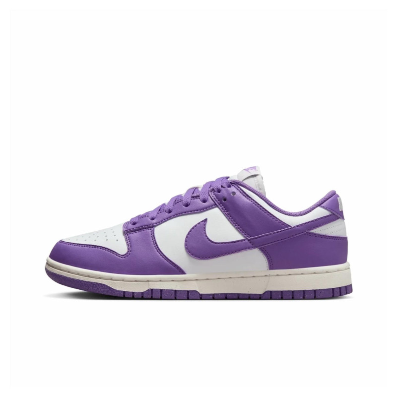 Кросівки жіночі Nike Dunk Low Next Nature (DD1873-108)