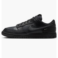 Кросівки чоловічі Nike Dunk Low Gore-Tex (HQ2053-001)