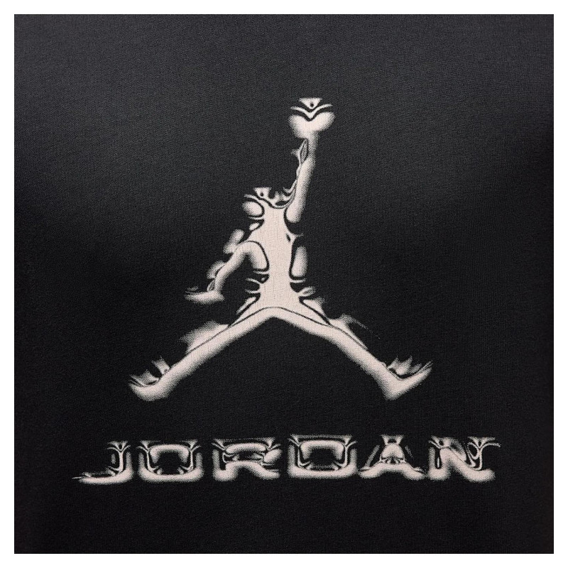 Футболка чоловіча Jordan Dri-Fit (HQ9091-010)