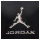 Футболка чоловіча Jordan Dri-Fit (HQ9091-010)