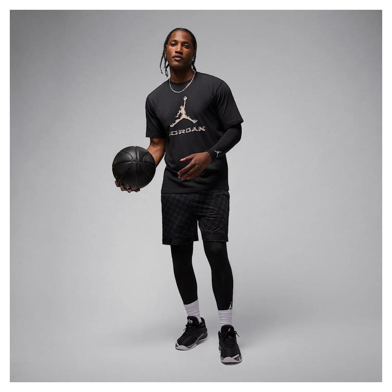 Футболка чоловіча Jordan Dri-Fit (HQ9091-010)