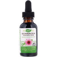 Ехінацея, Echinacea, Nature's Way, 500 мг, 30 мл