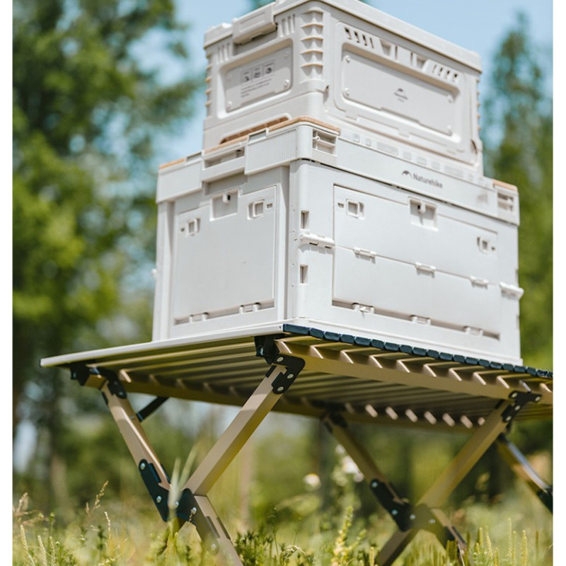 Складаний стіл Naturehike Star Jane T01 CNK2550JJ018, 89х60 см, вуглецева сталь, чорний