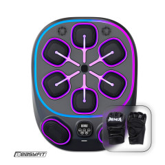 Настенный боксерский тренажер EasyFit с апперкотами (музыкальный бокс), 9 режимов, Bluetooth, черный