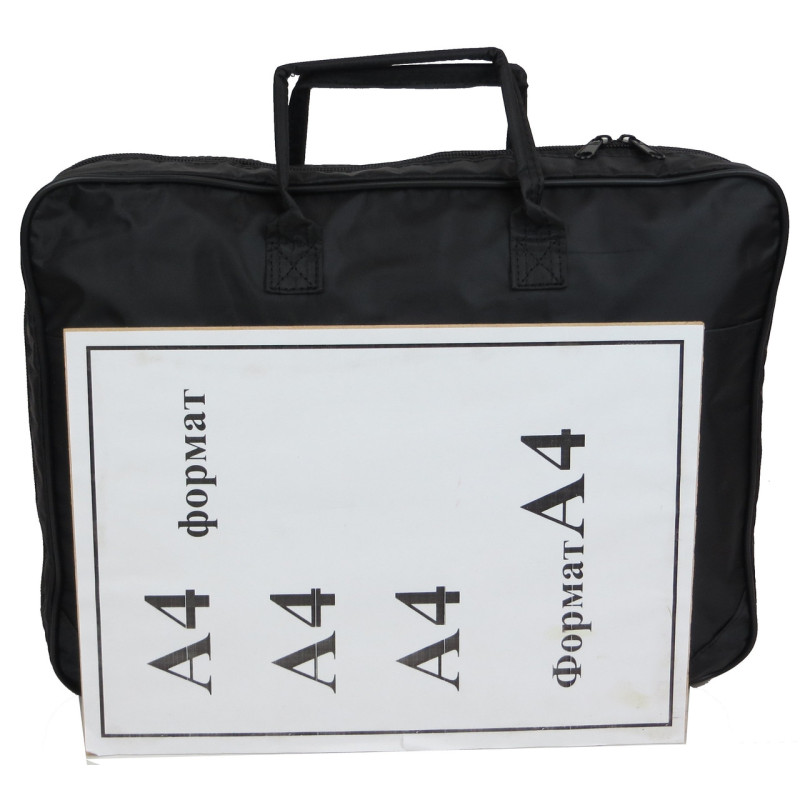 Сумка для ноутбука 14,1 дюймов Professional черная