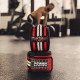 Бинти на коліна Power System PS-3700 Knee Wraps Red/Black (пара), Довжина 2 м, Ширина 8 см, Бавовна, PU, Spandex, Чорно-червоний