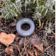 Еспандер кистьовий силіконовий PowerPlay PP-4330 Hand Grip Loops Medium 18-22,5 кг. Сірий