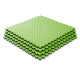 Мат-татами (Мат-пазл ласточкин хвост) WCG EVA 100х100х2 cm зелено черный