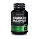 Бустер тестостерона, Tribulus Maximus, BioTech, 90 таблеток