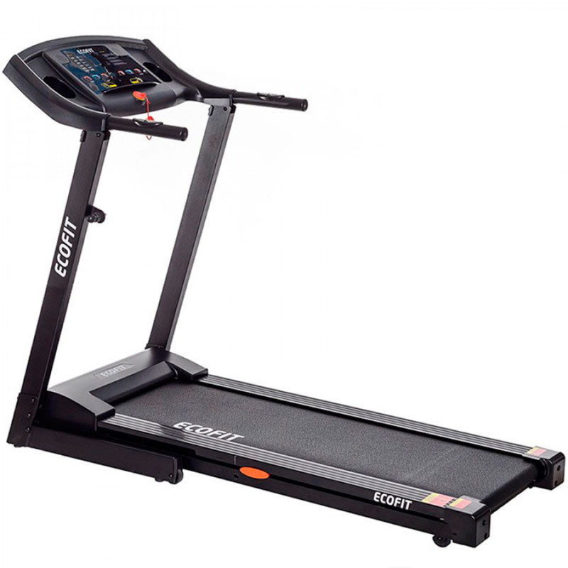 Беговая дорожка электрическая Ecofit E-A600