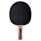 Ракетка для пінг-понгу Donic Legends 600 FSC