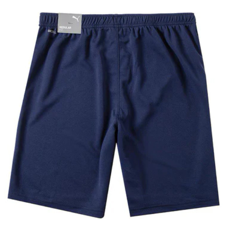 Шорти Puma teamRISE Short