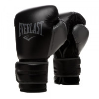Боксерські рукавиці Everlast POWERLOCK 2R TRAINING GLOVES