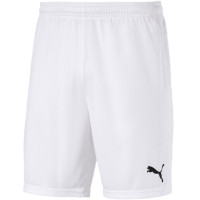 Шорти Puma teamGOAL 23 knit Shorts