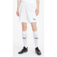 Шорти Puma teamGOAL 23 knit Shorts