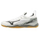 Кросівки MIZUNO WAVE MIRAGE 2.1