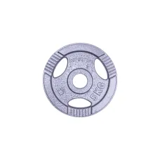Диск чавунний inSPORTline Hamerton 5 кг