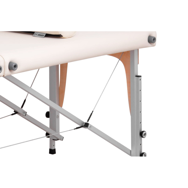 Масажний стіл Pro Master ALU Ultra бежевий