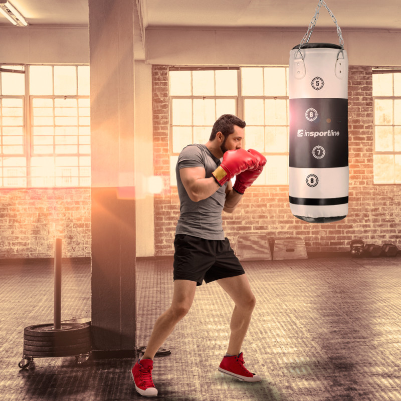 Мішок боксерський inSPORTline Robkin 287845, чорно-сріблястий