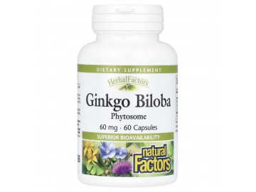 Гинкго Билоба, фитосомы, 60 мг, Ginkgo Biloba, Phytosome, Natural Factors, 60 капсул