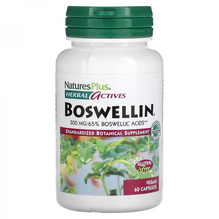 Босвелін, 300 мг, Boswellin, Herbal Actives, Natures Plus, 60 Вегетаріанських Капсул