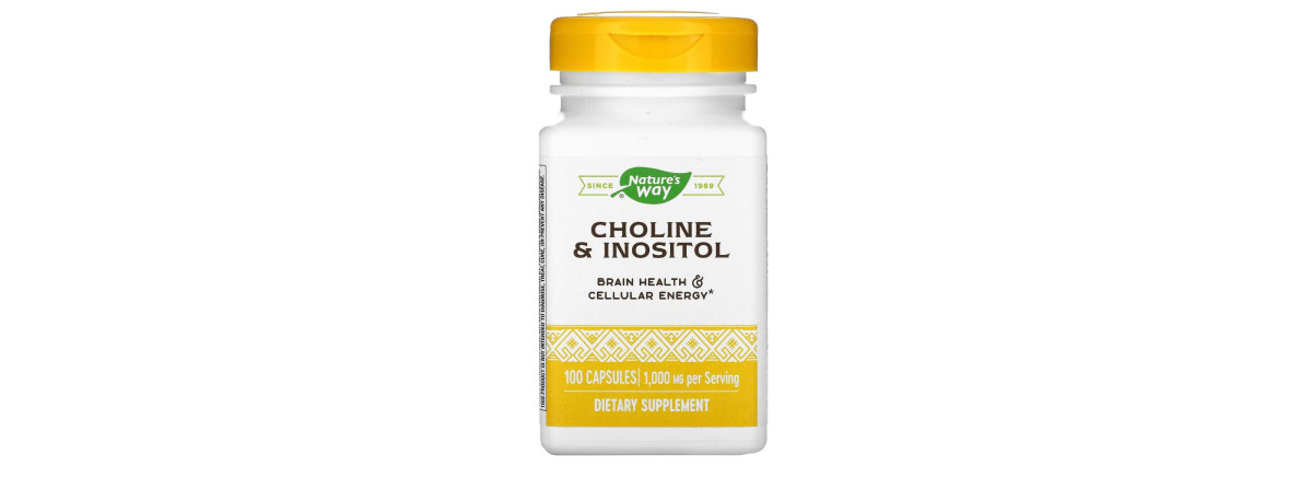 Холін та інозитол, 1000 мг, Choline & Inositol, Nature's Way, 100 капсул