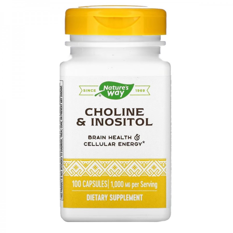 Холин и инозитол, 1000 мг, Choline & Inositol, Nature's Way, 100 капсул